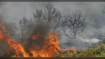 Χανιά: Έπιασαν προϊστάμενο του ΔΕΔΔΗΕ για τη φωτιά στα Σφακιά