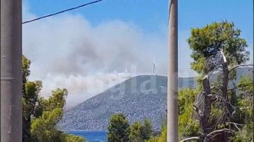 Βίντεο από την εκδήλωση της μεγάλης φωτιάς στη Βοιωτία