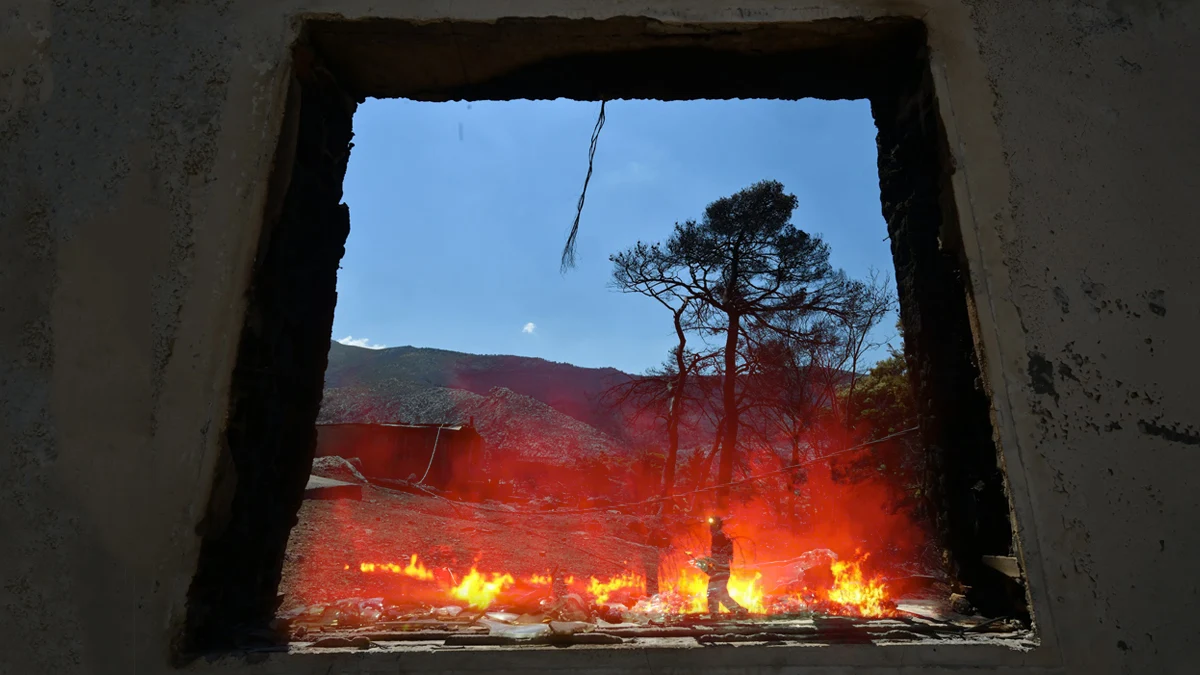 Ανυπολόγιστη η καταστροφή σε Ψάθα και Πόρτο Γερμενό – Κάηκαν 134.000 στρέμματα