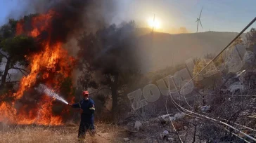 Φωτογραφικό ντοκουμέντο από το σημείο μηδέν στη μεγάλη φωτιά της Βοιωτίας