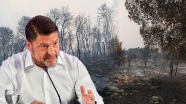 Φωτιά στην Βοιωτία: Παράσταση πολιτικής αγωγής καταθέτει η Περιφέρεια Αττικής