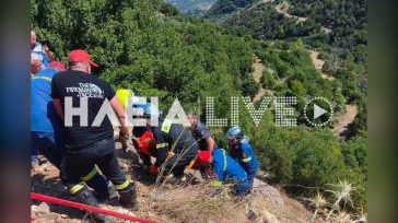 Ανδρίτσαινα: Αυτοκίνητο έπεσε σε γκρεμό 30 μέτρων – Στο νοσοκομείο 32χρονη οδηγός