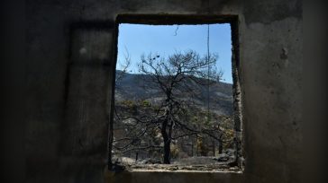Ξεκίνησαν οι αυτοψίες στις πυρόπληκτες περιοχές στο Πόρτο Γερμενό