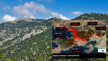 Στάχτη το 64% του δασικού πλούτου της Αττικής μέσα σε εννέα χρόνια