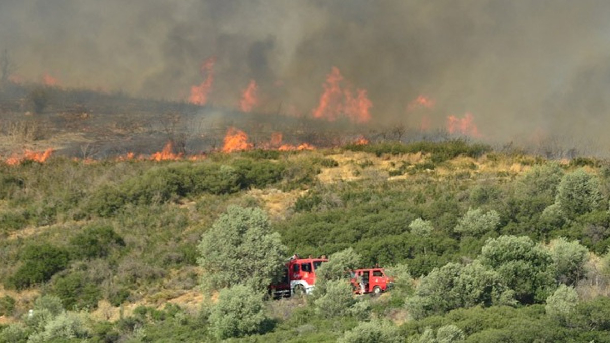 Πολύ υψηλός κίνδυνος πυρκαγιάς σήμερα σε Αττική, Εύβοια και Βοιωτία