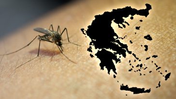 «Κόκκινος» συναγερμός για τον ιό του Δυτικού Νείλου: 65 κρούσματα και 6 θάνατοι