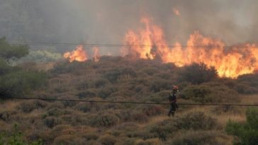 Δύο συλλήψεις για τις πυρκαγιές σε Σκύρο και Λακωνία