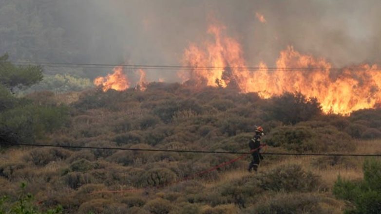 Δύο συλλήψεις για τις πυρκαγιές σε Σκύρο και Λακωνία Δύο συλλήψεις για τις πυρκαγιές σε Σκύρο και Λακωνία