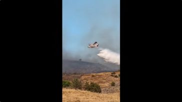 Φάρσαλα: Φωτιά στην Κρήνη – Επιχειρούν 3 εναέρια