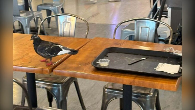 Ζήτημα υγειονομικής ασφάλειας στο εστιατόριο του Πανεπιστημιακού Νοσοκομείου Πατρών