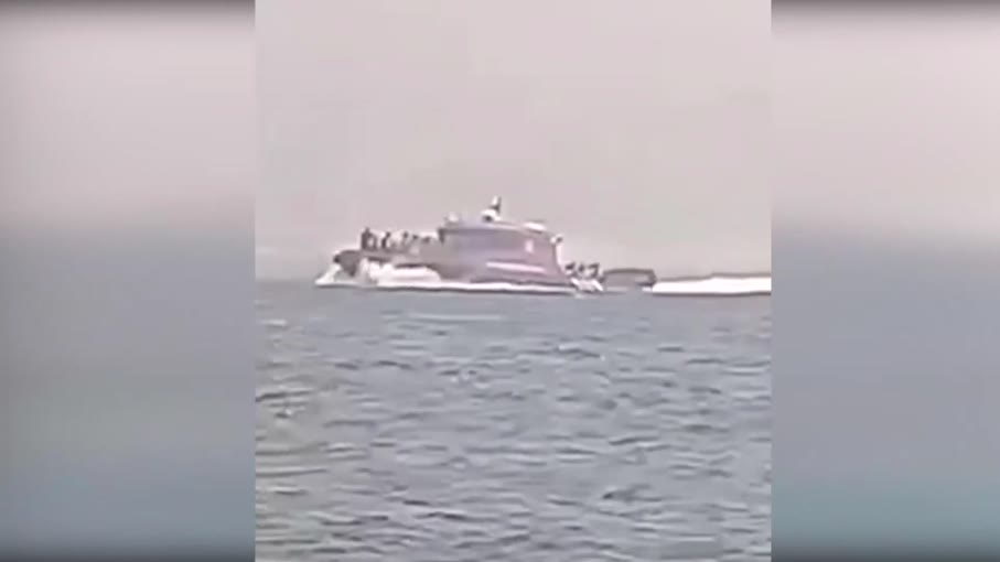 Πυρκαγιά σε Αττικοβοιωτία: Συγκλονιστικές εικόνες από την επιχείρηση διάσωσης και απομάκρυνσης πολιτών