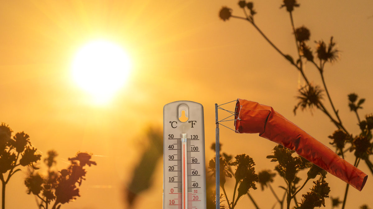 Έρχονται πολλά μποφόρ και υψηλές θερμοκρασίες το Σαββατοκύριακο