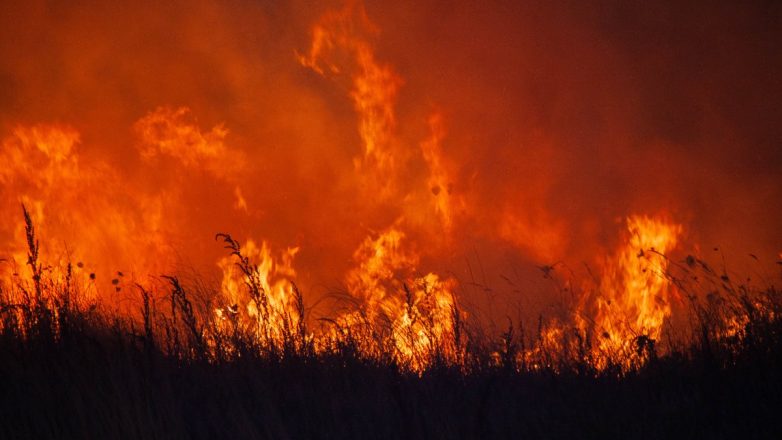 Πυρκαγιές: Red Alert σήμερα Σάββατο σε Κρήτη, Χίο, Σάμο και Ικαρία
