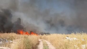 Κομοτηνή: Πυρκαγιά σε χαμηλή βλάστηση στην περιοχή Παγούρια