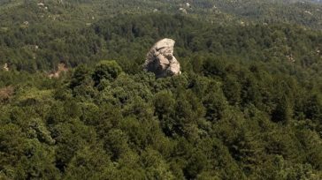 Χαλκιδική: Απαγόρευση κυκλοφορίας σε δάση λόγω υψηλού κινδύνου εκδήλωσης πυρκαγιάς