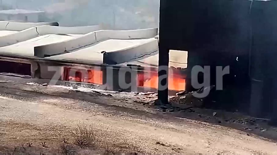 Υπό έλεγχο και χωρίς ενεργό μέτωπο η πυρκαγιά στον Κουβαρά