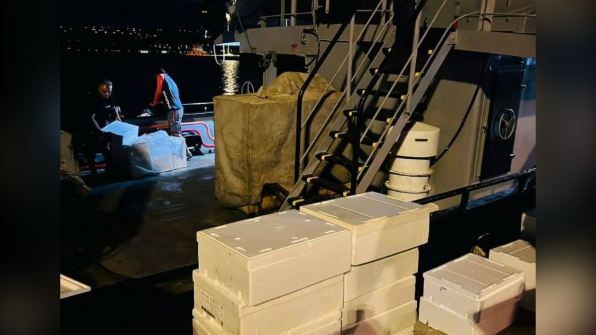 Χανιά: Έπεσε στη θάλασσα για να γλιτώσει τη σύλληψη
