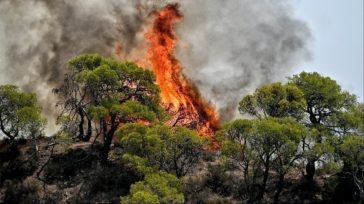 Φωτιά στη Ροδόπη – Εκκενώνονται δύο περιοχές