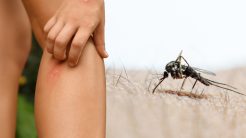 Ιός του Δυτικού Νείλου: Σε Ελλάδα και Ιταλία η μεγαλύτερη εξάπλωση στην Ευρώπη