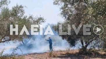 Πυρκαγιά στο Βαρθολομιό Ηλείας