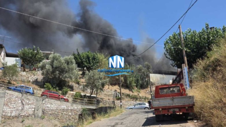 Φωκίδα: Πυρκαγιά σε επιχείρηση στο Καστράκι Δωρίδας Φωκίδα: Πυρκαγιά σε επιχείρηση στο Καστράκι Δωρίδας