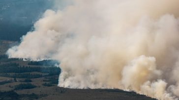 Βέλγιο: Στάχτη 30.000 στρέμματα από την πυρκαγιά που σπάει τα εθνικά ρεκόρ