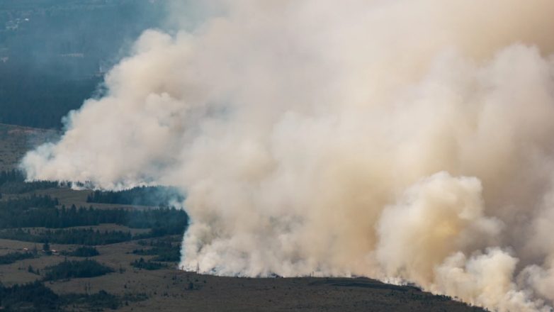 Βέλγιο: Στάχτη 30.000 στρέμματα από την πυρκαγιά που σπάει τα εθνικά ρεκόρ