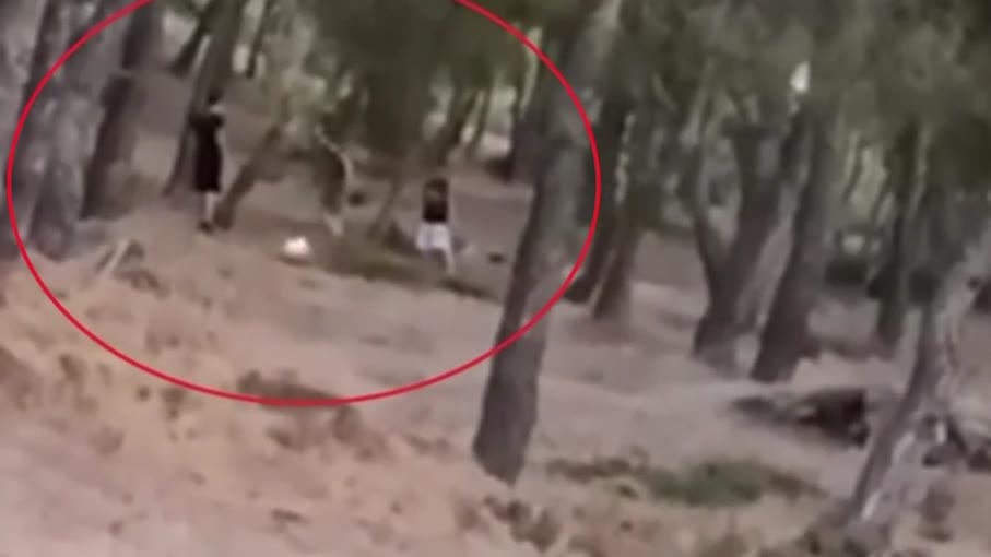 Πεντέλη: Εντοπίστηκαν 13χρονοι που έβαλαν φωτιά για ένα challenge