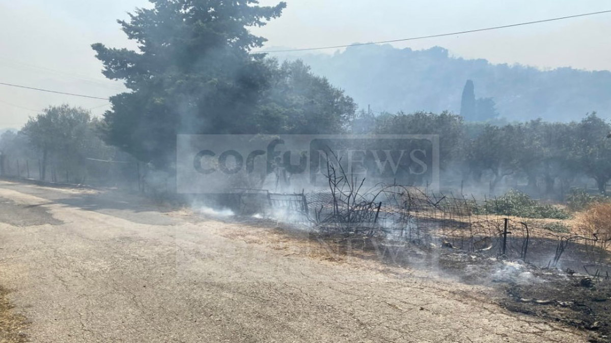 Φωτιά στην περιοχή Τεμπλόνι Κέρκυρας
