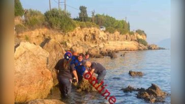 Χαλκίδα: Βίντεο από την επιχείρηση διάσωσης του οδηγού που έπεσε σε χαράδρα