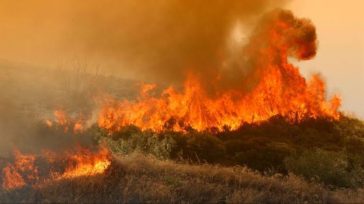 Φωτιά στη Λακωνία – Επιχειρούν 4 εναέρια