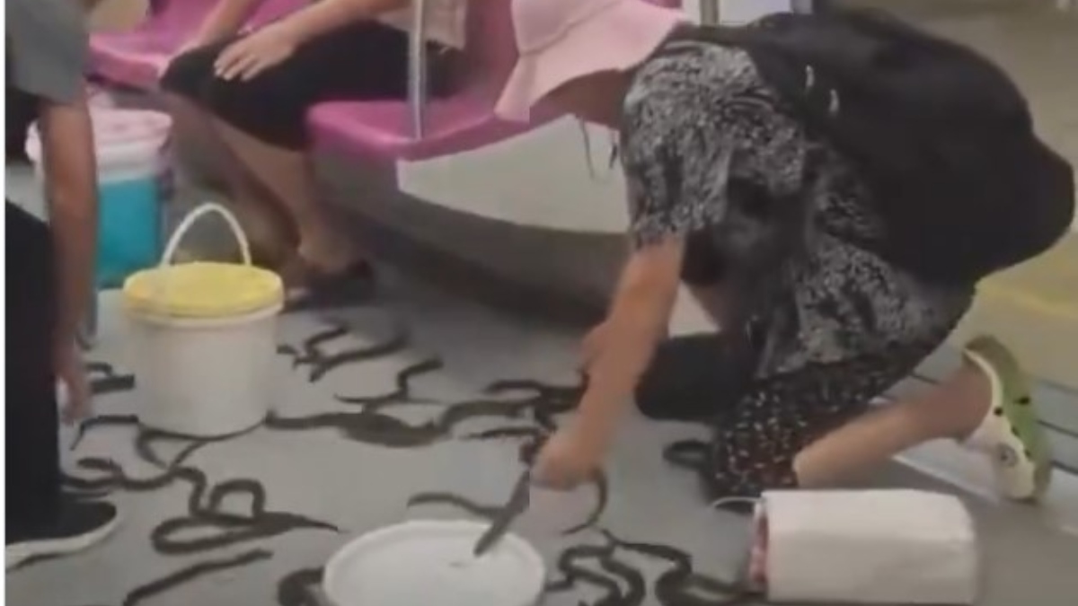 Γέμισε… φίδια συρμός του μετρό στην Κίνα