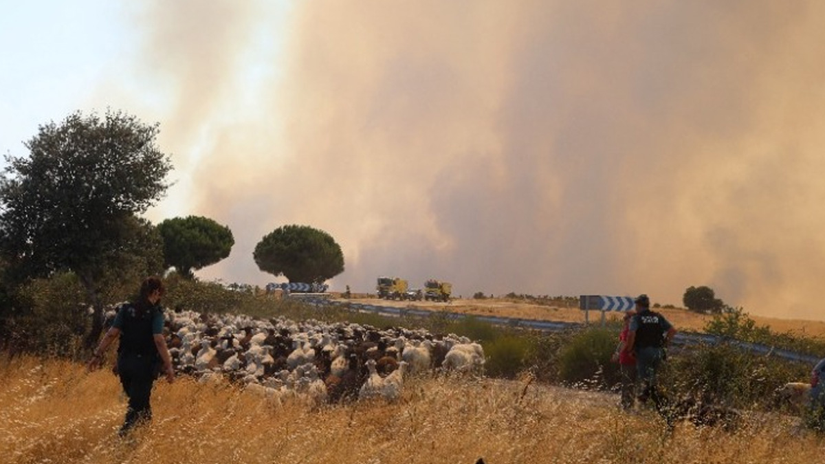 Ισπανία: Εκκενώθηκε κοινότητα στη Βαλένθια λόγω πυρκαγιάς
