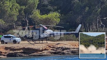 Γόνος οικογένειας γνωστών εφοπλιστών και μοντέλο οι επιβάτες του ελικοπτέρου που προκάλεσαν πανικό στις Σπέτσες