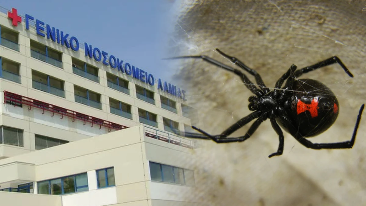 Στη ΜΕΘ 30χρονος από τσίμπημα «μαύρης χήρας»