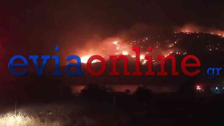 Σκύρος: Δύο εστίες φωτιάς μέσα σε λίγες ώρες – Υποψίες για εμπρησμό
