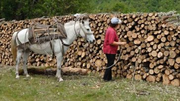 ΟΠΕΚΑ: Άνοιξε η πλατφόρμα για την εισοδηματική ενίσχυση ορεινών και μειονεκτικών περιοχών