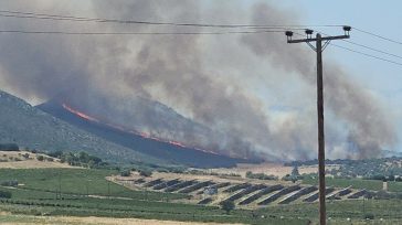 Φωτιά στον Μύτικα Θήβας