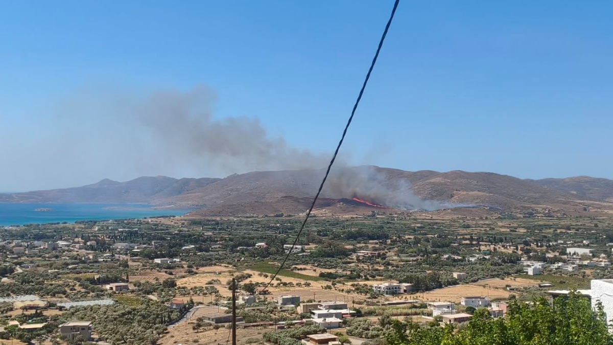 Κάρυστος: Η πυρκαγιά καίει δίπλα σε σπίτια – Ήχησε 112 για εκκένωση