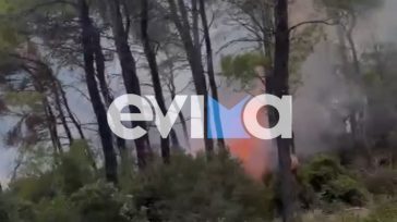 Φωτιά στον Άγιο Αθανάσιο Ευβοίας