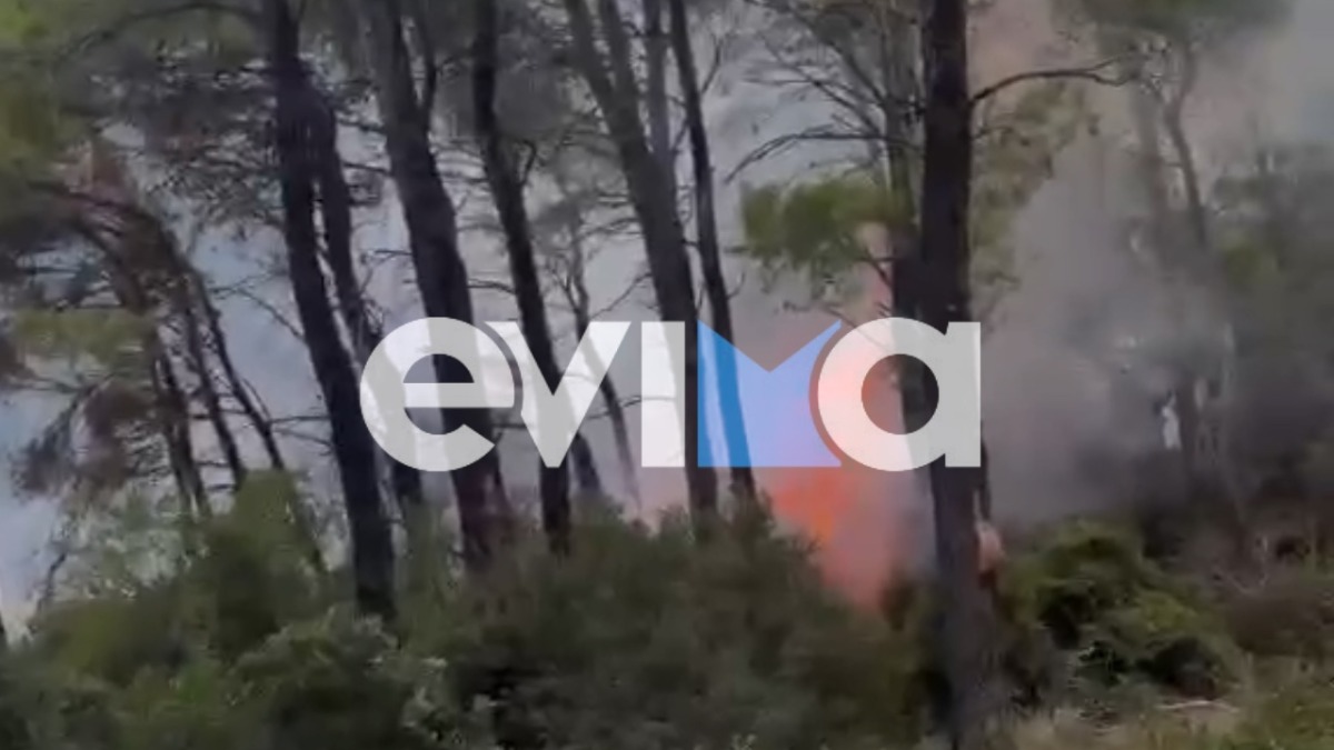 Φωτιά στον Άγιο Αθανάσιο Ευβοίας Φωτιά στον Άγιο Αθανάσιο Ευβοίας