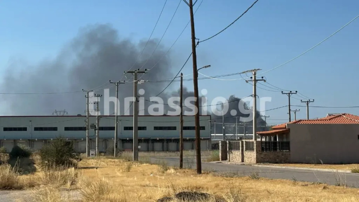 Φωτιά στη Μάνδρα Αττικής – Μήνυμα 112 για κλειστές πόρτες και παράθυρα