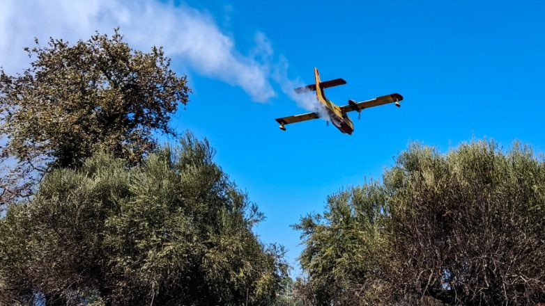 Φωτιά στη Βοιωτία – Ήχησε 112 για ετοιμότητα Φωτιά στη Βοιωτία – Ήχησε 112 για ετοιμότητα