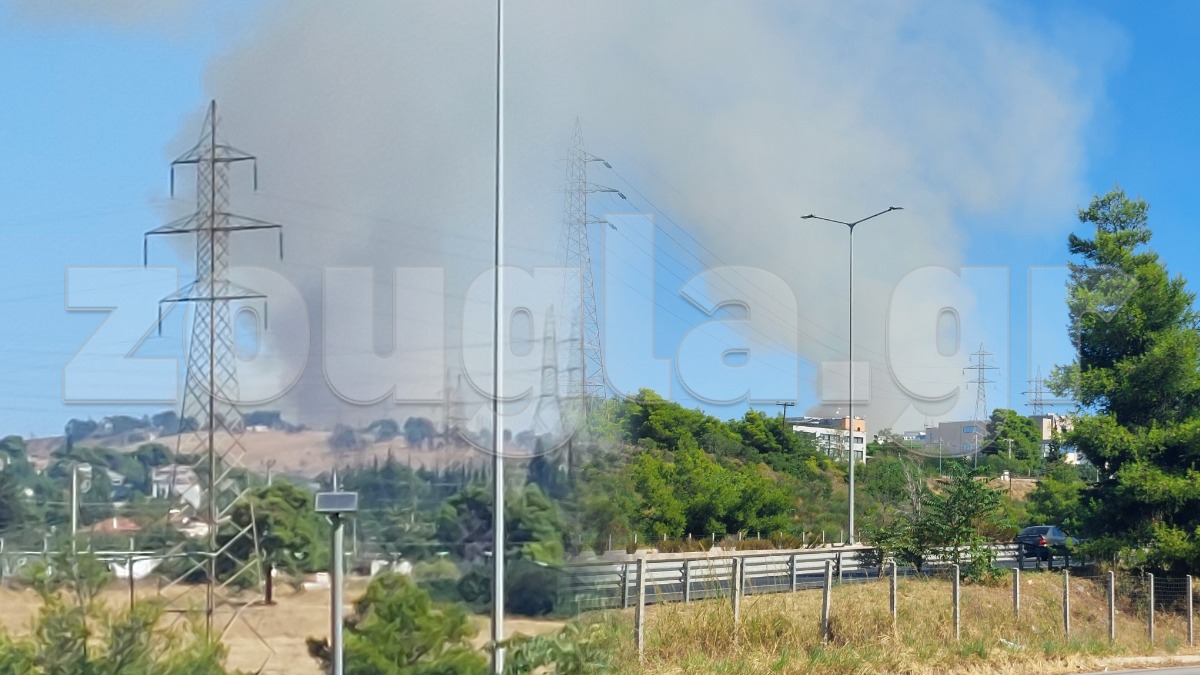 Υπό έλεγχο η πυρκαγιά στη Δροσοπηγή Αττικής