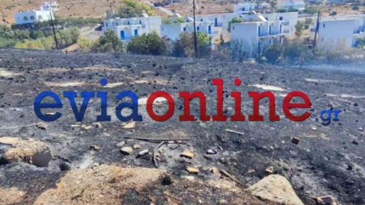 Συνελήφθη 43χρονος για την πυρκαγιά στον Αετό Καρύστου
