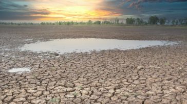 Κινδυνεύει να μετατραπεί σε έρημο… Σαχάρα η Θεσσαλία – Η ξηρασία απειλεί τον θεσσαλικό κάμπο