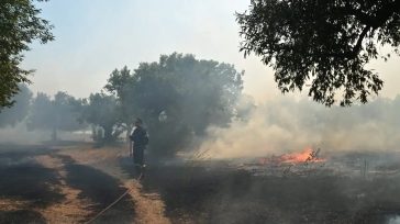 Φωτιές στο Αγιόφυλλο Τρικάλων και το Πολυδάμειο Λάρισας