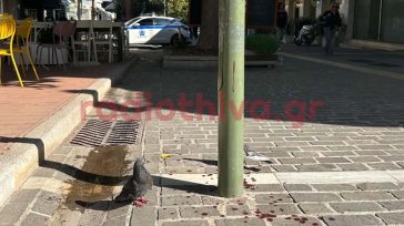 Θήβα: Άνδρες επιτέθηκαν και χτύπησαν άτομο ξένης καταγωγής