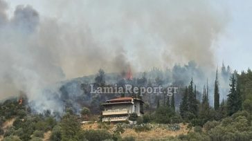 Υπό έλεγχο η πυρκαγιά στην Πελασγία Φθιώτιδας