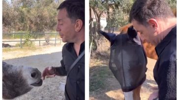Το συγκινητικό αντίο στον Γιώργο Μαζωνάκη από τον Ελληνικό Σύλλογο Προστασίας Ιπποειδών